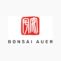 Auer Othmar / Bonsai in Brixen