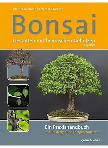 Bonsai-Faszination 2017 / BCD Hameln